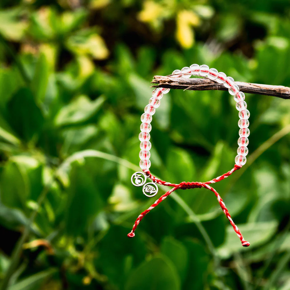 Limited Edition Saltwater Angelfish Bracelet - Image 8