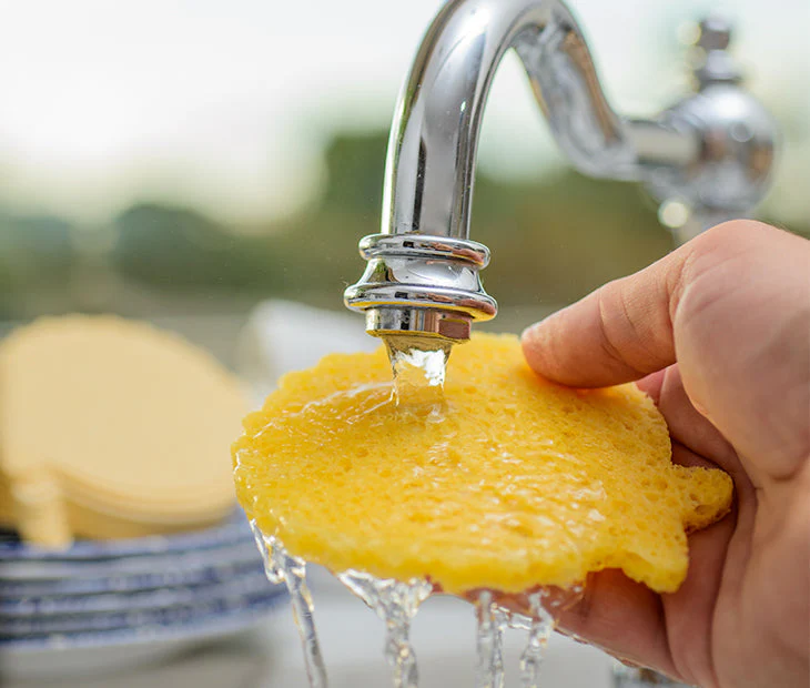 Biodegradable Sponges- 12 Pack - Image 2