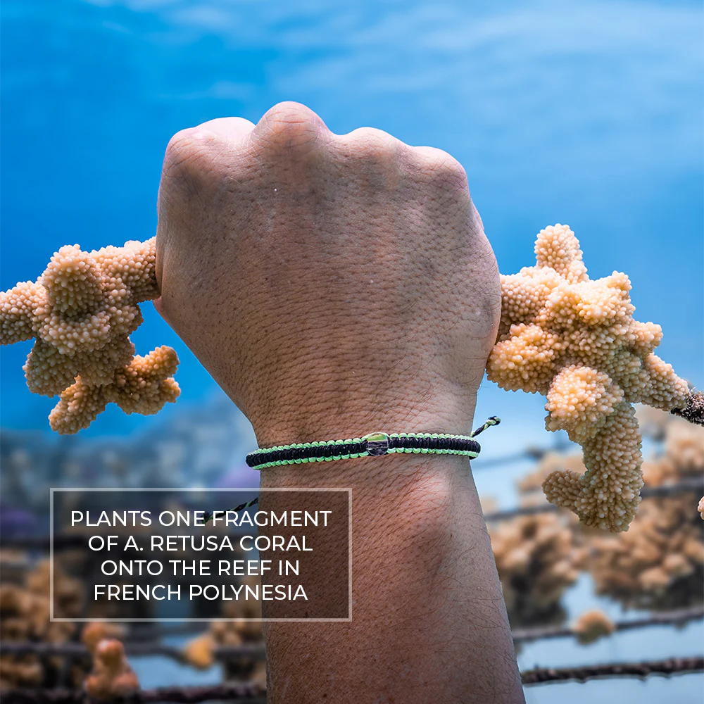 Coral Restoration Reef Safe Bracelet - Image 15