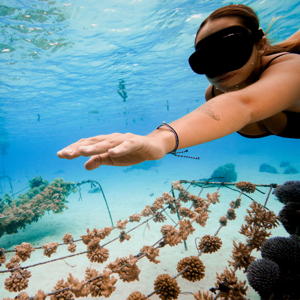 Coral Restoration Reef Safe Bracelet - Image 38