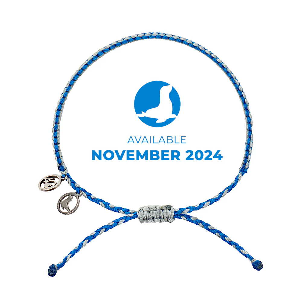 2024 Seal Bracelet | Limited Edition | 4ocean Bracelet of the Month - Image 2