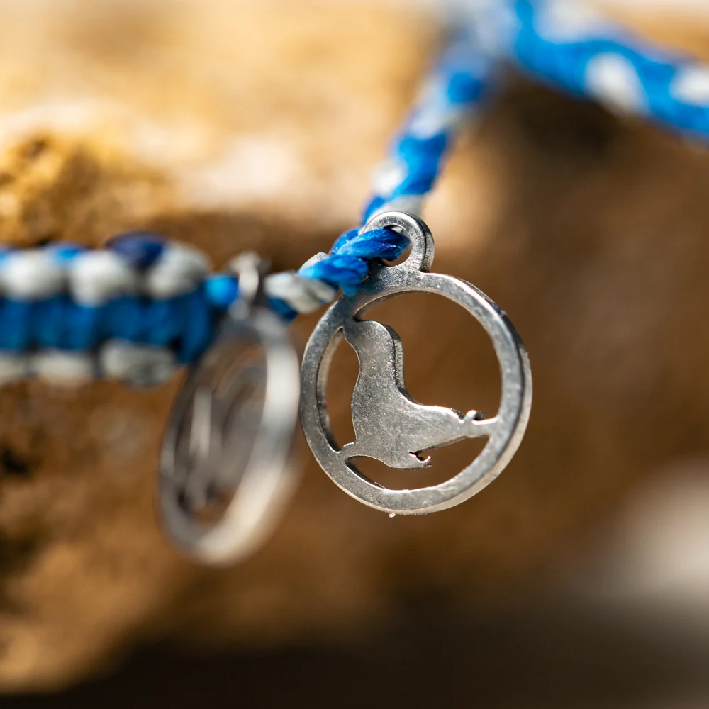 2024 Seal Bracelet | Limited Edition | 4ocean Bracelet of the Month - Image 9