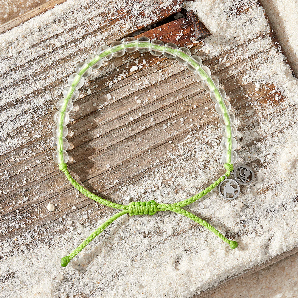 Turtle Love Bundle - Image 11