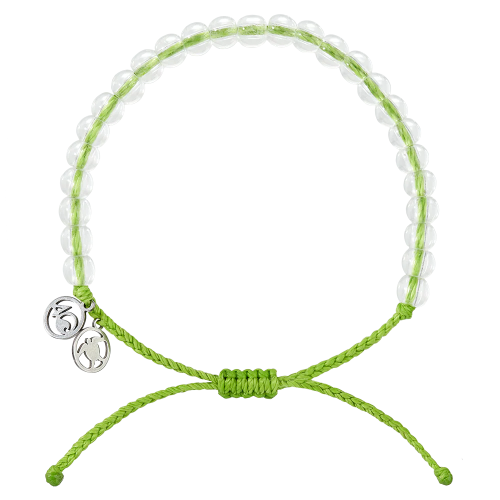 Turtle Love Bundle - Image 4