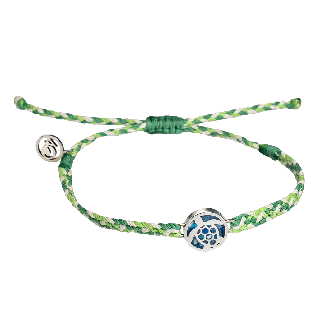 Turtle Love Bundle - Image 6