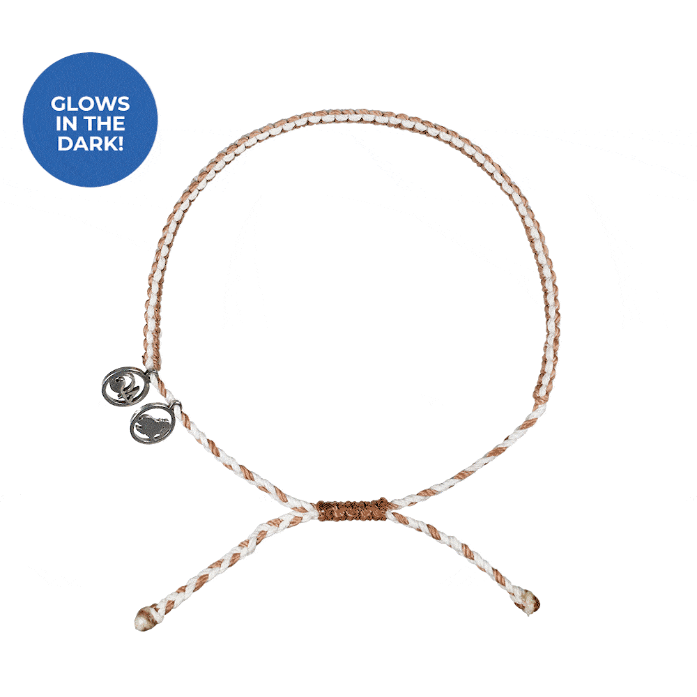 Limited Edition Glow-in-the-Dark Walrus Bracelet - Image 2