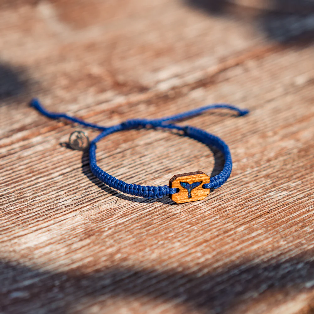 Whale Love Bundle - Image 12