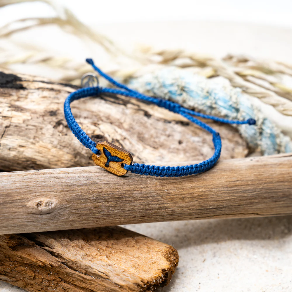 Whale Love Bundle - Image 13