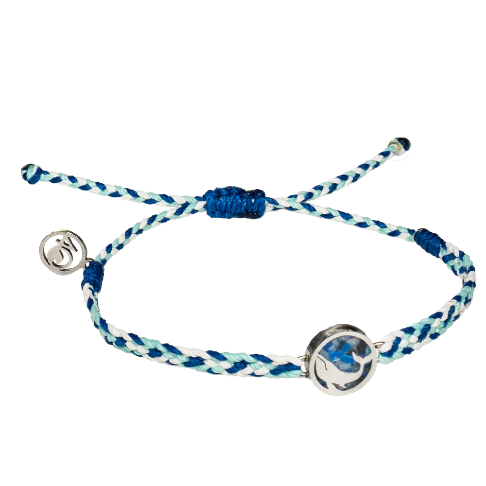 Whale Love Bundle - Image 4
